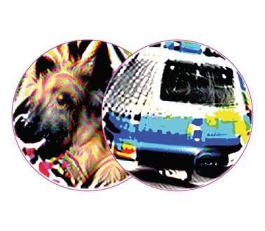 Two adversarial patches one of a dog and one of an ambulance 